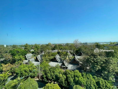 THE TREASURE By my Hip, Chiang Mai, Thailand THE TREASURE By my Hip, Chiang Mai, Thailand