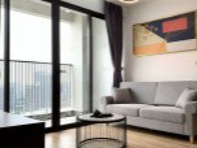 Dreamland Bonanza, Vietnam Dreamland Bonanza, Vietnam