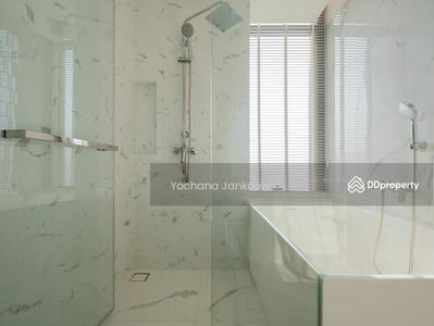 Siamese Exclusive Queens, Bangkok, Thailand Siamese Exclusive Queens, Bangkok, Thailand