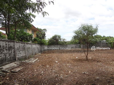 Ratchada Road, Ramintra-Nawamin 74, Pattawikorn Buengkum, Bangkok, Thailand Ratchada Road, Ramintra-Nawamin 74, Pattawikorn Buengkum, Bangkok, Thailand