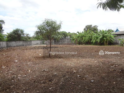 Ratchada Road, Ramintra-Nawamin 74, Pattawikorn Buengkum, Bangkok, Thailand Ratchada Road, Ramintra-Nawamin 74, Pattawikorn Buengkum, Bangkok, Thailand