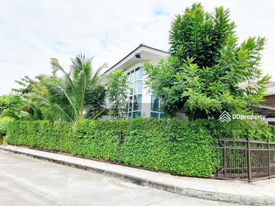 A8MG1185, Chiang Mai, Thailand A8MG1185, Chiang Mai, Thailand