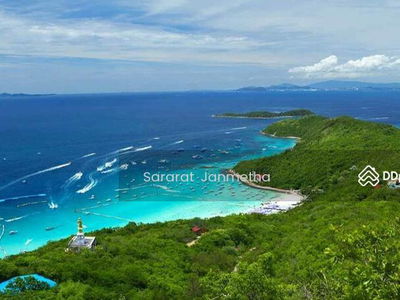The Palm Wongamart Beach, Chon Buri, Thailand The Palm Wongamart Beach, Chon Buri, Thailand