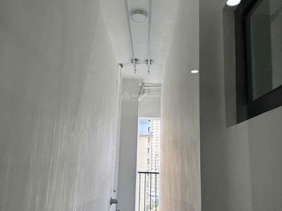 Iris Garden, Vietnam Iris Garden, Vietnam