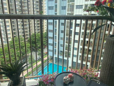 Topaz Twins, Vietnam Topaz Twins, Vietnam