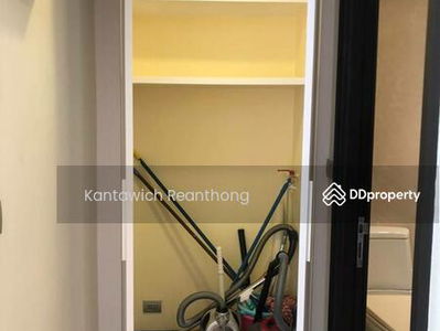 Ficus Lane, Bangkok, Thailand Ficus Lane, Bangkok, Thailand