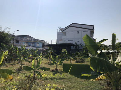 Land Sukhumvit 97/1, Bangkok, Thailand Land Sukhumvit 97/1, Bangkok, Thailand