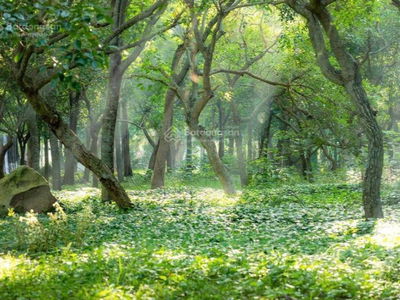 Ecopark, Vietnam Ecopark, Vietnam