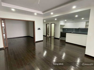 The Golden Armor, Vietnam The Golden Armor, Vietnam