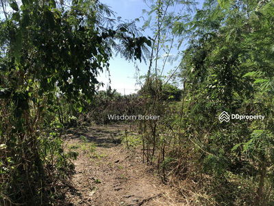 Empty land for rent, 200 square meters, Soi 9/1, Khlong Sam Road, Pathum Thani., Thailand Empty land for rent, 200 square meters, Soi 9/1, Khlong Sam Road, Pathum Thani., Thailand