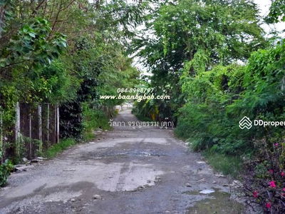 Land for rent Next to Phahonyothin Road, inbound side, area 4-3-52 rai, Khlong Nueng Subdistrict, Khlong Luang, opposite Thammasat University, Pathum Thani., Thailand Land for rent Next to Phahonyothin Road, inbound side, area 4-3-52 rai, Khlong Nueng Subdistrict, Khlong Luang, opposite Thammasat University, Pathum Thani., Thailand