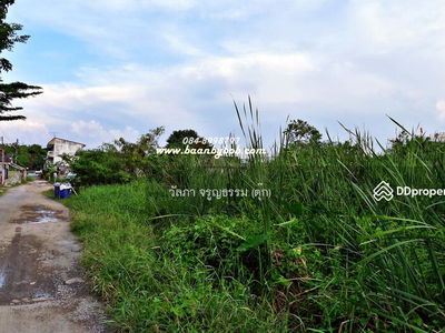 Land for rent Next to Phahonyothin Road, inbound side, area 4-3-52 rai, Khlong Nueng Subdistrict, Khlong Luang, opposite Thammasat University, Pathum Thani., Thailand Land for rent Next to Phahonyothin Road, inbound side, area 4-3-52 rai, Khlong Nueng Subdistrict, Khlong Luang, opposite Thammasat University, Pathum Thani., Thailand