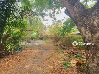 Bang Phli land next to Theparak Road, Samut Prakan., Thailand Bang Phli land next to Theparak Road, Samut Prakan., Thailand