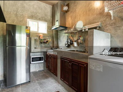 ASRP0463, Chiang Mai, Thailand ASRP0463, Chiang Mai, Thailand