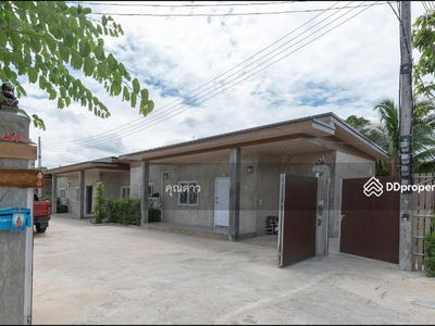 ASRP0463, Chiang Mai, Thailand ASRP0463, Chiang Mai, Thailand