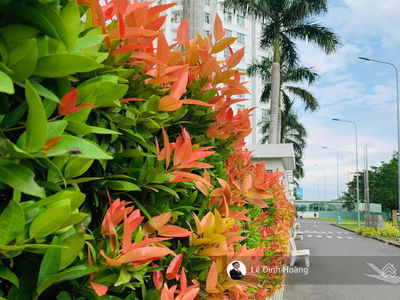 Hoang Anh Thanh Binh, Vietnam  Hoang Anh Thanh Binh, Vietnam