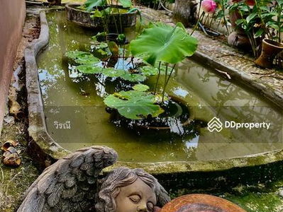 For rent, 2-story detached house, Ban Ko, Nakhon Ratchasima., Thailand For rent, 2-story detached house, Ban Ko, Nakhon Ratchasima., Thailand