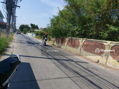Rent empty land In Soi Nong Phai Lom 14, Nakhon Ratchasima, Thailand Rent empty land In Soi Nong Phai Lom 14, Nakhon Ratchasima, Thailand