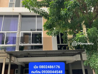 Siamese Blossom at Fashion Ramintra 64, Bangkok, Thailand Siamese Blossom at Fashion Ramintra 64, Bangkok, Thailand