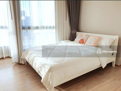 The Tree Hua Mak, Bangkok, Thailand The Tree Hua Mak, Bangkok, Thailand