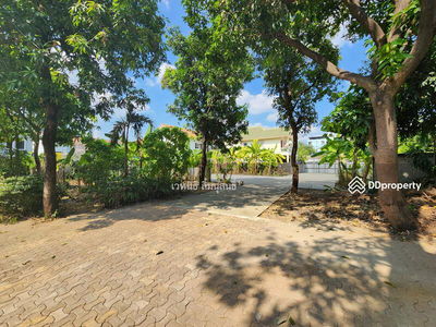 Land 290, Bangkok, Thailand Land 290, Bangkok, Thailand