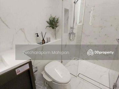 Siamese Exclusive Queens, Bangkok, Thailand Siamese Exclusive Queens, Bangkok, Thailand