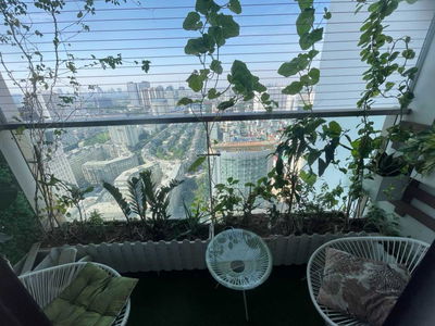 Golden Land, Vietnam Golden Land, Vietnam