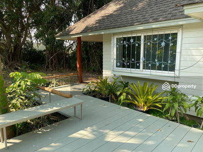 Gehäuse In Chiang Mai, Thailand Gehäuse In Chiang Mai, Thailand