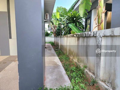 For rent, one-story detached house, Cho Ho, Nakhon Ratchasima., Thailand For rent, one-story detached house, Cho Ho, Nakhon Ratchasima., Thailand