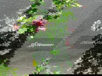 2-story detached house, Samut Prakan, Thailand 2-story detached house, Samut Prakan, Thailand