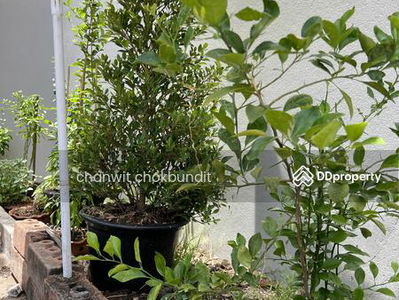 2-story detached house, Samut Prakan, Thailand 2-story detached house, Samut Prakan, Thailand