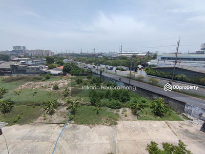 Land for rent Purple area, divided for rent, 1-4 rai, next to Setthakit Road 1, Om Noi, Krathum Baen, Samut Sakhon, Bangkok, Thailand Land for rent Purple area, divided for rent, 1-4 rai, next to Setthakit Road 1, Om Noi, Krathum Baen, Samut Sakhon, Bangkok, Thailand