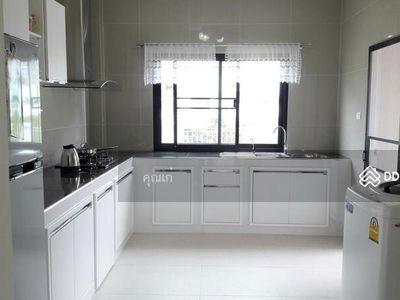 ASP0141, Chiang Mai, Thailand ASP0141, Chiang Mai, Thailand