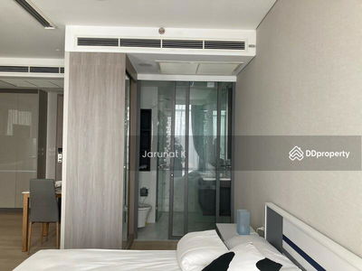 Siamese Exclusive Queens, Bangkok, Thailand Siamese Exclusive Queens, Bangkok, Thailand