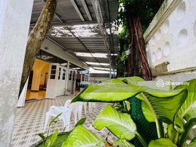 77110 Baan Suksabai Hua Hin, Soi Hua Thanon 9, Prachuap Khiri Khan, Thailand 77110 Baan Suksabai Hua Hin, Soi Hua Thanon 9, Prachuap Khiri Khan, Thailand