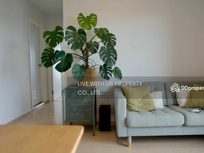 The Tree Sukhumvit 71-Ekamai, Bangkok, Thailand The Tree Sukhumvit 71-Ekamai, Bangkok, Thailand