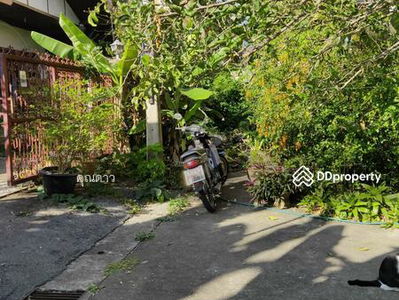 A8MG2340, Chiang Mai, Thailand A8MG2340, Chiang Mai, Thailand