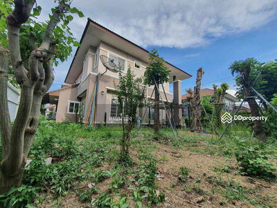 ASP0966, Chiang Mai, Thailand ASP0966, Chiang Mai, Thailand