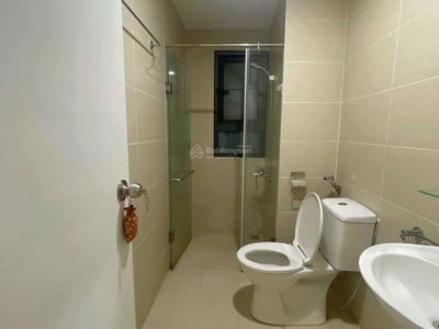 Topaz Twins, Vietnam Topaz Twins, Vietnam