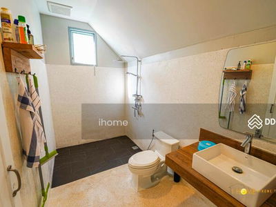 AMR0386, Chiang Mai, Thailand AMR0386, Chiang Mai, Thailand