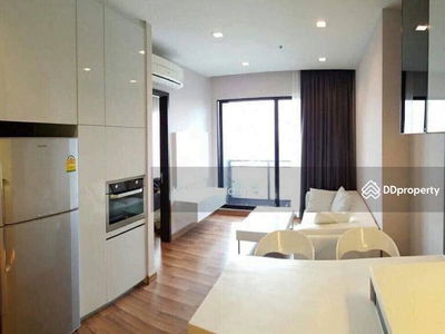 Ivy Ampio, Bangkok, Thailand Ivy Ampio, Bangkok, Thailand