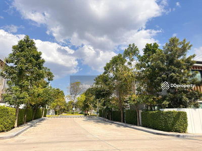 Premium single house for rent The Master Sriracha Village, fully furnished, ready to move in, Chon Buri, Thailand Premium single house for rent The Master Sriracha Village, fully furnished, ready to move in, Chon Buri, Thailand