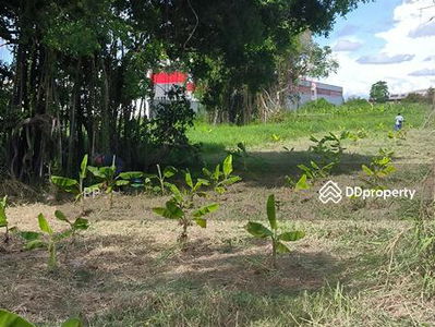 Suvarnabhumi entrance road, Samut Prakan, Thailand Suvarnabhumi entrance road, Samut Prakan, Thailand