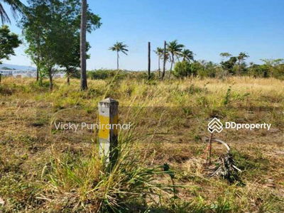 13555 Land for rent, 2 rai, Nong Khang Khok, Chon Buri, 5 km from the motorway, suitable for a warehouse, Chon Buri., Thailand 13555 Land for rent, 2 rai, Nong Khang Khok, Chon Buri, 5 km from the motorway, suitable for a warehouse, Chon Buri., Thailand