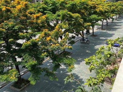 Жилье в Hanoi, Vietnam  Жилье в Hanoi, Vietnam