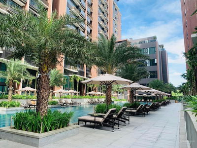 The River Thủ Thiêm, Vietnam The River Thủ Thiêm, Vietnam