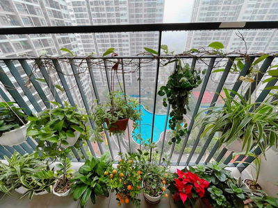 Vinhomes Smart City, Vietnam Vinhomes Smart City, Vietnam