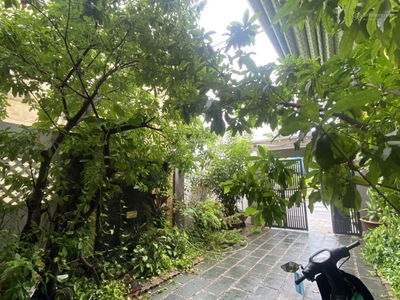 Alojamiento en Da Nang, Vietnam  Alojamiento en Da Nang, Vietnam