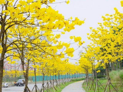 Park Kiara, Vietnam Park Kiara, Vietnam