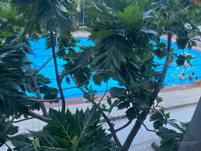 Alojamiento en Di An, Vietnam Alojamiento en Di An, Vietnam